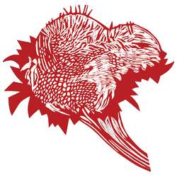 Rosso carminio
