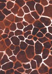 Décopatch - Carta decorativa, 30 x 40 cm, conf. 3 fogli, Giraffa