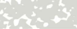 Talens - Rembrandt, Pastelli morbidi sfusi, Grigio +++ 704,9