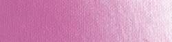 Old Holland magenta light