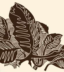 Terra d'ombra naturale