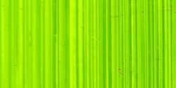 Bright green lake