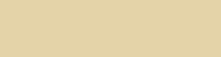 Copic Ink - Ricarica d'inchiostro, 12 ml, Ivory Nr E81
