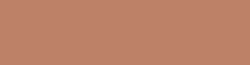 Copic Ink - Ricarica d'inchiostro, 12 ml, Hazelnut Nr E23