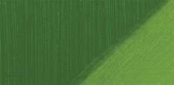 Verde vescica