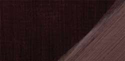 Bruno van Dyck