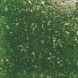 Joy - Pietre per mosaico, 10 x 10 x 4 mm - 200g, Verde abete
