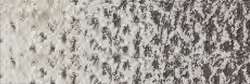 Caran D'Ache - Pastel Pencils, Matite pastello sfuse, Grigio francese 10%