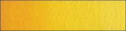 Scheveningen yellow deep