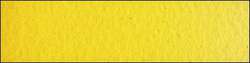 Scheveningen yellow medium