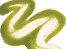 Verde felce