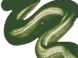 Verde cromo