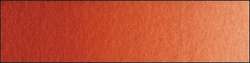 Golden barok red