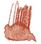 Staedtler - Karat Aquarell, Matite colorate acquerellabili, Rosso inglese