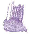 Staedtler - Karat Aquarell, Matite colorate acquerellabili, Lavanda