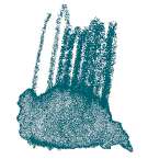 Staedtler - Karat Aquarell, Matite colorate acquerellabili, Verde di Hooker