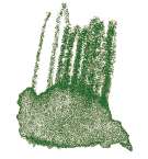 Staedtler - Karat Aquarell, Matite colorate acquerellabili, Terra verde