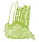 Staedtler - Karat Aquarell, Matite colorate acquerellabili, Giallo verde