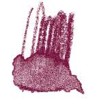 Staedtler - Karat Aquarell, Matite colorate acquerellabili, Rosso toscano