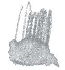 Staedtler - Karat Aquarell, Matite colorate acquerellabili, Grigio chiaro