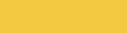 Copic Ink - Ricarica d'inchiostro, 12 ml, Golden Yellow Nr Y17