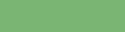 Copic Ink - Ricarica d'inchiostro, 12 ml, Willow Nr G24