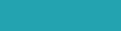 Copic Ink - Ricarica d'inchiostro, 12 ml, Blue Green Nr BG09