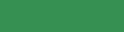 Copic - Classic, Marker grafico, G29 pine tree green