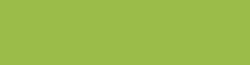 Copic Ink - Ricarica d'inchiostro, 12 ml, Celadon Green Nr YG25