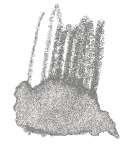 Staedtler - Karat Aquarell, Matite colorate acquerellabili, Grigio freddo 13