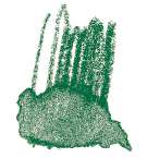 Staedtler - Karat Aquarell, Matite colorate acquerellabili, Verde