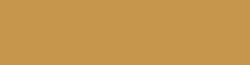 Copic Ink - Ricarica d'inchiostro, 12 ml, Light Camel Nr E55