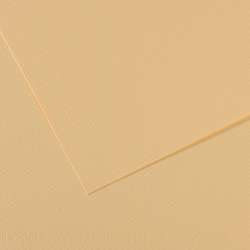 Canson - Mi-Teintes, Fogli colorati per artisti, 50 x 65 cm, Lichene