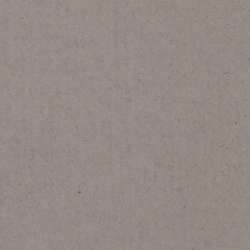 Lana - Colours, Carta colorata 160g/m², 50 x 65 cm, 1 foglio, Grigio scuro