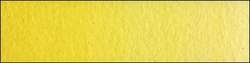 Scheveningen yellow lemon