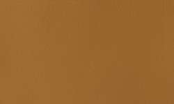 Winsor & Newton - Designer Gouache, Colori sfusi, 14 ml, Terra d'ombra naturale