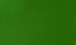 Winsor & Newton - Designer Gouache, Colori sfusi, 14 ml, Verde vescica