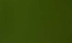 Winsor & Newton - Designer Gouache, Colori sfusi, 14 ml, Verde oliva