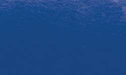 Sennelier - Pennelli Ink Brush, Blu cobalto imit.