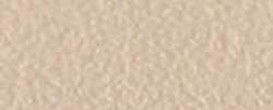 Canson - Mi-Teintes Touch, Cartoncino per pastello, 50 x 65 cm, 350 g/mq, Lichene
