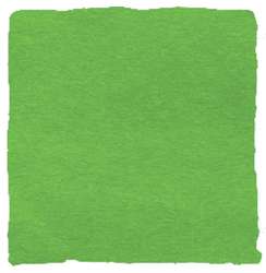 artist junior inchiostro di china da disegno, 500 ml, Verde maggio