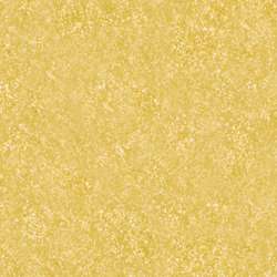 Clairefontaine - Maya, Carta colorata 120 g/mq, A4 - conf. 25 ff., Oro