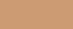 Winsor & Newton - Promarker Brush sfusi, Cinnamon (O427)