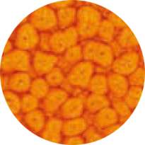 Pébéo - Fantasy Prisme, Pittura ad effetto, 45 ml, Ranuncolo