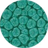 Pébéo - Fantasy Prisme, Pittura ad effetto, 45 ml, Verde smeraldo