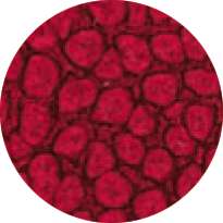 Pébéo - Fantasy Prisme, Pittura ad effetto, 45 ml, Fiori di ciliegio