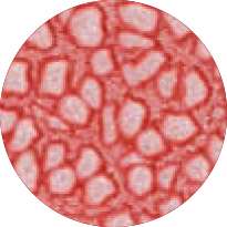 Pébéo - Fantasy Prisme, Pittura ad effetto, 45 ml, Rosa ghiaccio