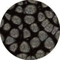 Pébéo - Fantasy Prisme, Pittura ad effetto, 45 ml, Onyx