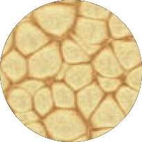 Pébéo - Fantasy Prisme, Pittura ad effetto, 45 ml, Oro antico