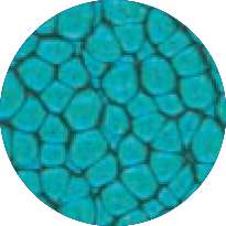 Pébéo - Fantasy Prisme, Pittura ad effetto, 45 ml, Turchese